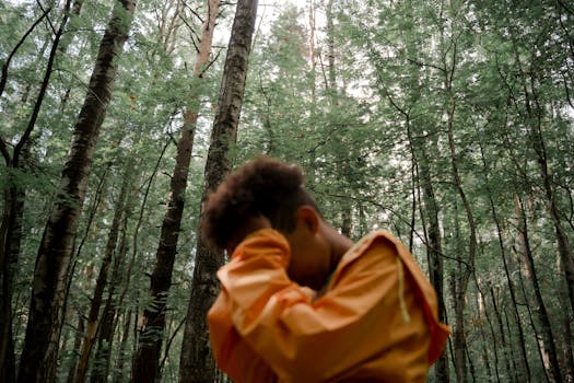 serene forest scene for meditation