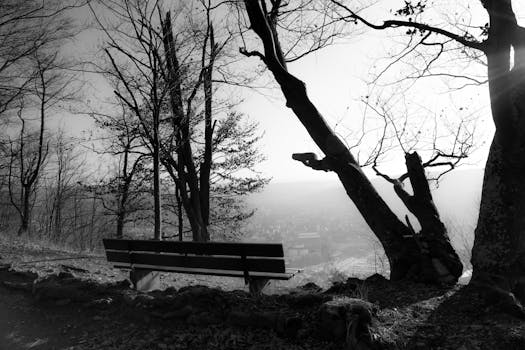 meditation in nature